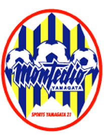 東北地方初!スポーツチームの入団を通じた長期療養児の自立支援事業「TEAMMATES」